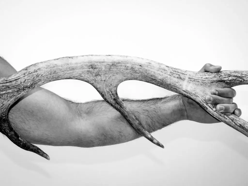 still life photography: Fertility Rite #9 | Fine art print by G.W. Smithson